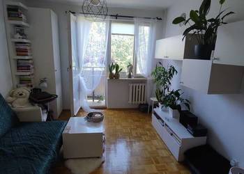 1pok, 20met, Okolice Sokolej BALKON (Wrocław)