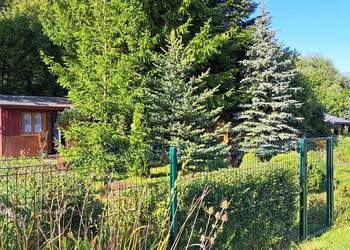 Działka ROD Kalina (ul. Zawilcowa)