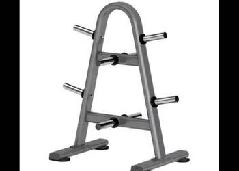 Stojak na obciążenia olimpijskie – Weight Plate Tree DR021