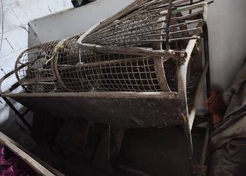 Sortownik do ziemniaków