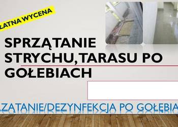 Sprzątanie strychu, gołębich zanieczyszczeń, odchodów, Wrocław, cennik