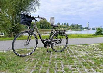 Rower Hoprider 28", ALU