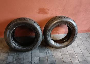 Dębica Frigo 2 195/65 15R