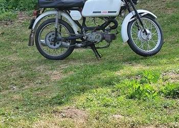 jawa 50 sport mustang