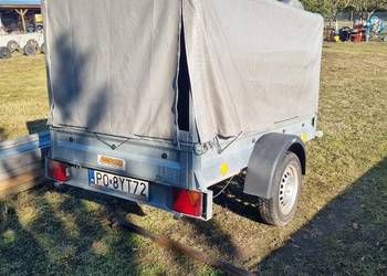 Przyczepka Neptun Dmc 750kg