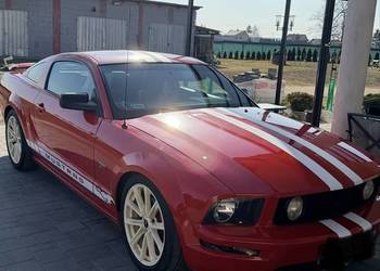 Ford mustang