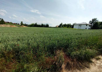 Do sprzedaży grunt 1581m2 Snopków