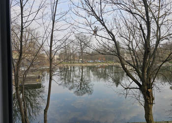 Mieszkanie w Żyrardowie z pięknym widokiem na park i staw