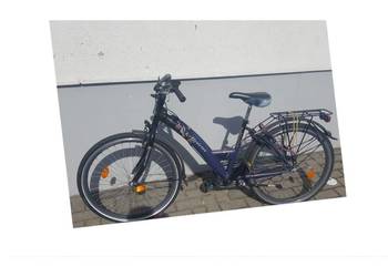 Rower holenderski Power Girl Alpina Rezerwacja
