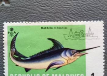 Znaczek stary Ryba z Malediwy