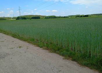 Mława-Nowa Wieś  0,36 ha, dobry dojazd