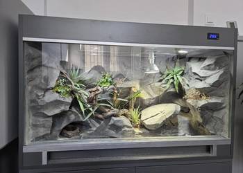 terrarium