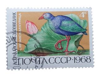 Stary znaczek pocztowy ZSRR 1968 ptaka wodnego Modrzyk kasowany 4 kopy