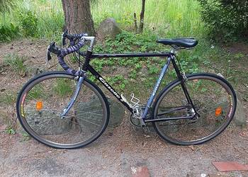 Rower Szosowy Kolarka Retro Gazelle Vuelta Szosa Campagnolo Rigida 28
