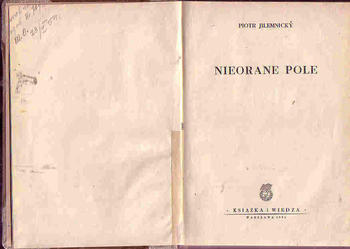 (4307) NIEORANE POLE – PIOTR JILEMNICKY