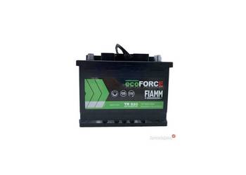Akumulator 60AH 520A Fiamm Ecoforce AFB
