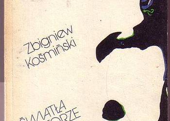 (8482) ŚWIATŁA NA TORZE – ZBIGNIEW KOŚMIŃSKI