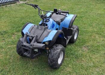 Quad 110 automat z wstecznym 1+1 atv