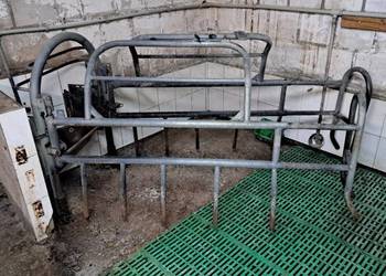 Kojec porodowy dla macior porodówka