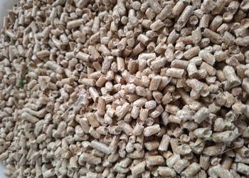 Pellet Szwedzki