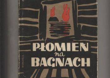 Płomień na bagnach - Wanda Wasilewska
