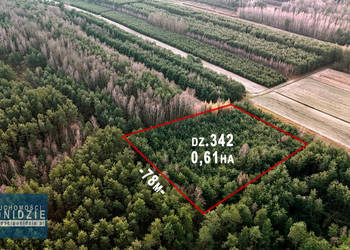 Działka leśna Szczytniki gm. Stopnica