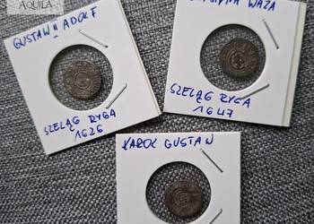 3 × Szeląg inflancki (Gustaw Adolf, Krystyna, Karol Gustaw) 3 × Szeląg inflancki (Gustaw Adolf, Krystyna, Karol Gustaw)