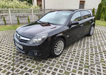 Opel Signum 1,9 CDTI 120 KM 2008 rok