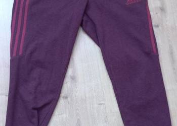 Spodnie dresowe Adidas męskie S bordowe 3 paski joggery
