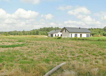 Grunt 10400m2 Zalesiany