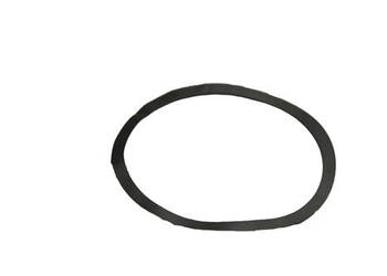 359242A1 Pierścień nastawczy (0,1 mm), Steiger 500 CNH