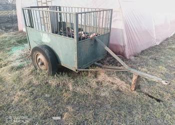 Bitka,przyczepka masywna