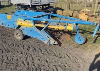 Kopaczka dwurzędowa