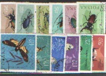 Fi 1132 - 43 kas 1961