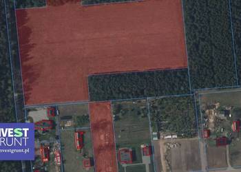 [9,52 ha] przetarg na dzierżawę gruntów rolnych