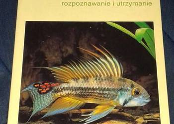Ryby akwariowe. Rozpoznawanie i utrzymanie - Thomas Romig