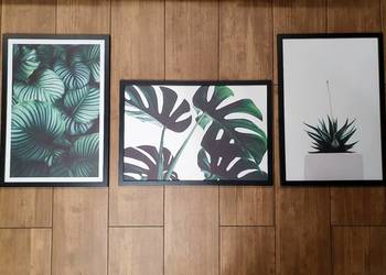 .:Zestaw 3 Obrazów w ramie o tematyce Liście Monstera:.