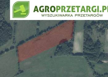 Dzierżawa 11,46 ha gruntu rolnego