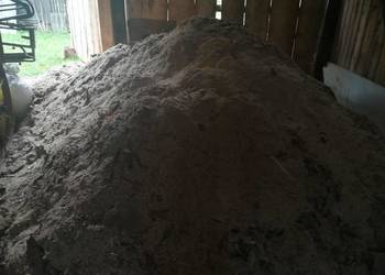 Trociny duża ilość za kawę