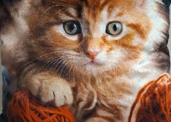 Pluszowy kociak premiium na poduszce, sprzedam