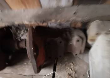 Zwolnice do Pronara!