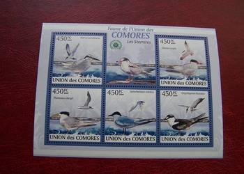 Komory 2009 MNH Fauna Ptaki Mewy