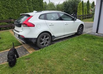 Volvo V40 CC na przedarz