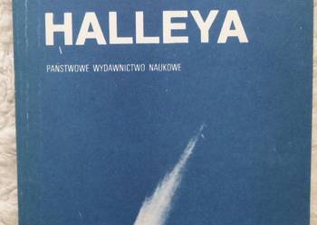 Kometa Halleya Hieronim Hurnik