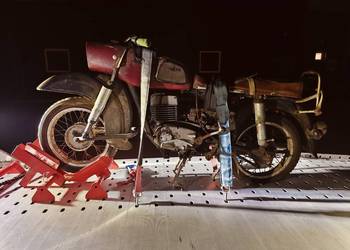 Mz trophy