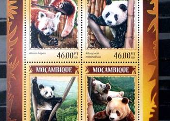 Mozambik ( panda ) 2