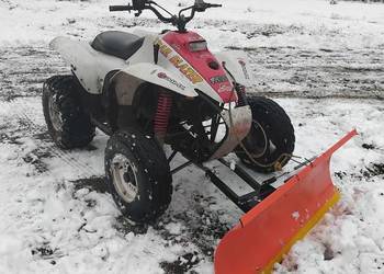 Polaris trailblazer 250