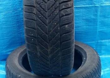 Dębica frigo 2 205/55r16