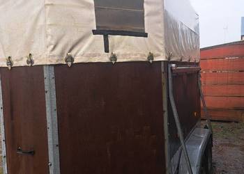 Przyczepka do przewozu koni