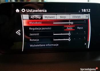 MODYFIKACJE FORSCAN Polskie menu Mazda CX-3,CX-5,CX-9,2,3,6